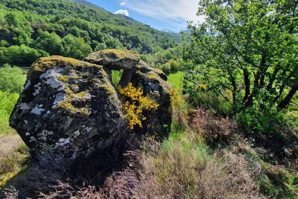Maison Au Coeur Des Pyrenees Perles-et-Castelet エクステリア 写真